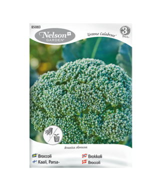 Frö fröer Broccoli 'Groene Calabrese'